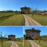 Aroneanu
